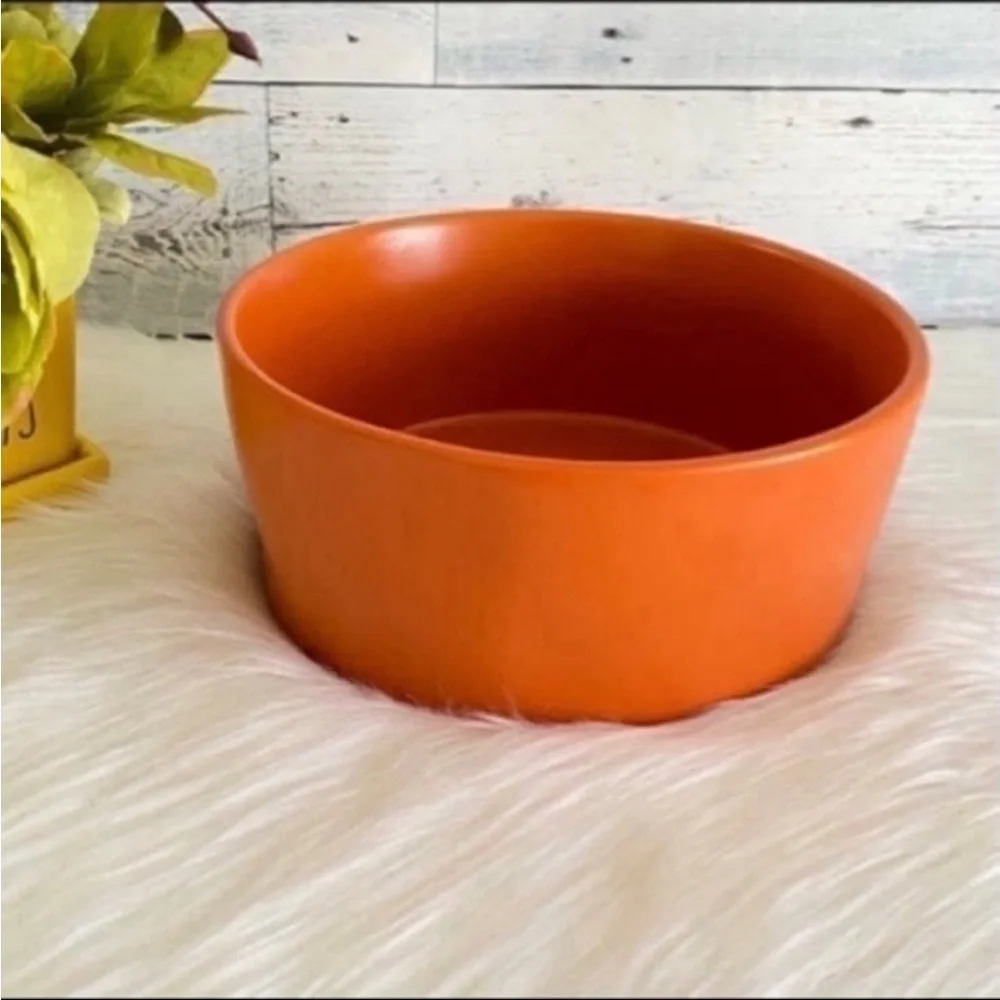 Rae Dunn WICKED CUTE Large Pet Dog Cat Home Kitchen Halloween Decor Bowl